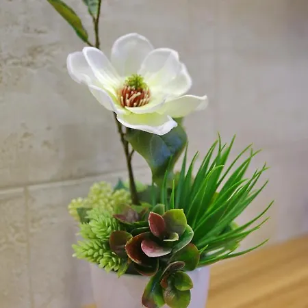 Time Out Lux * Zlatibor