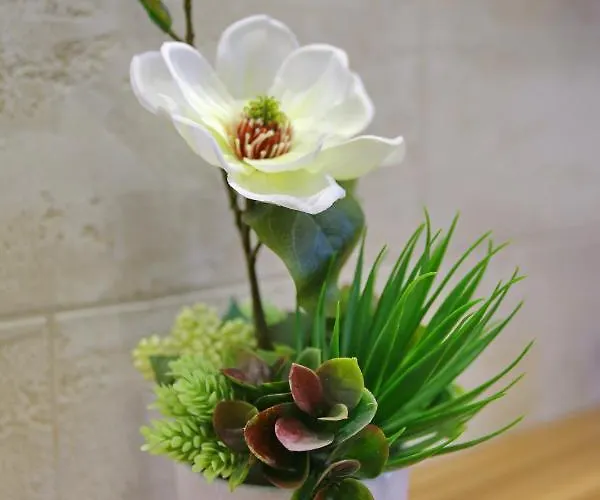 Time Out Lux * Zlatibor